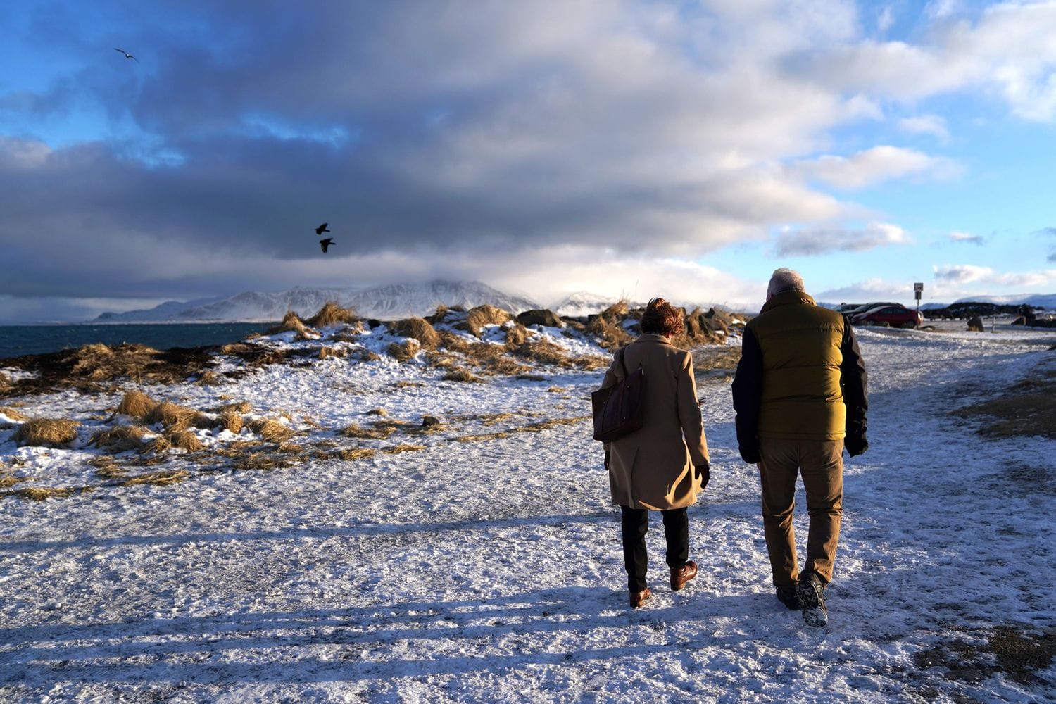 Forsíðumynd fyrir starfsævina