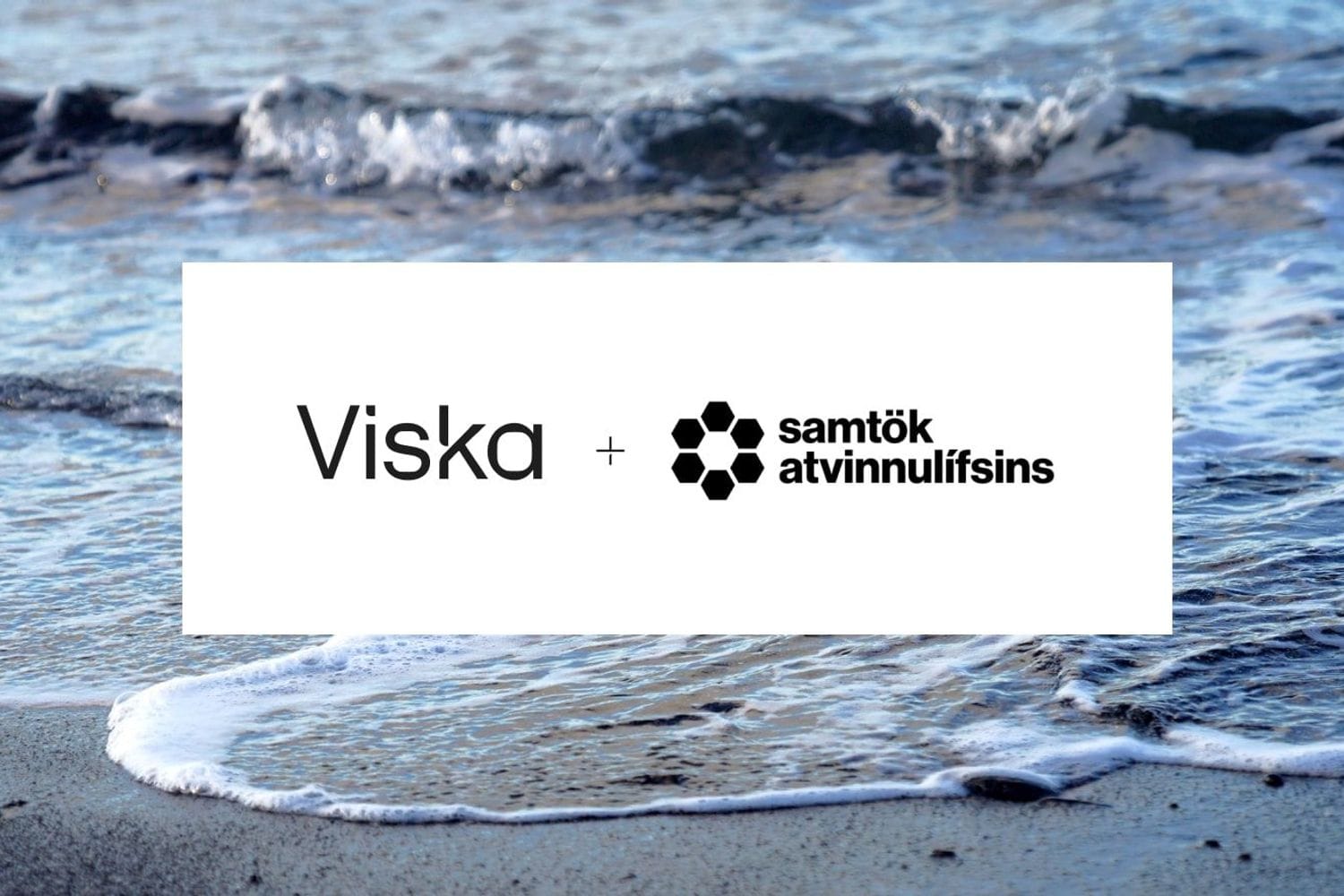 Samstarf: Viska og SA