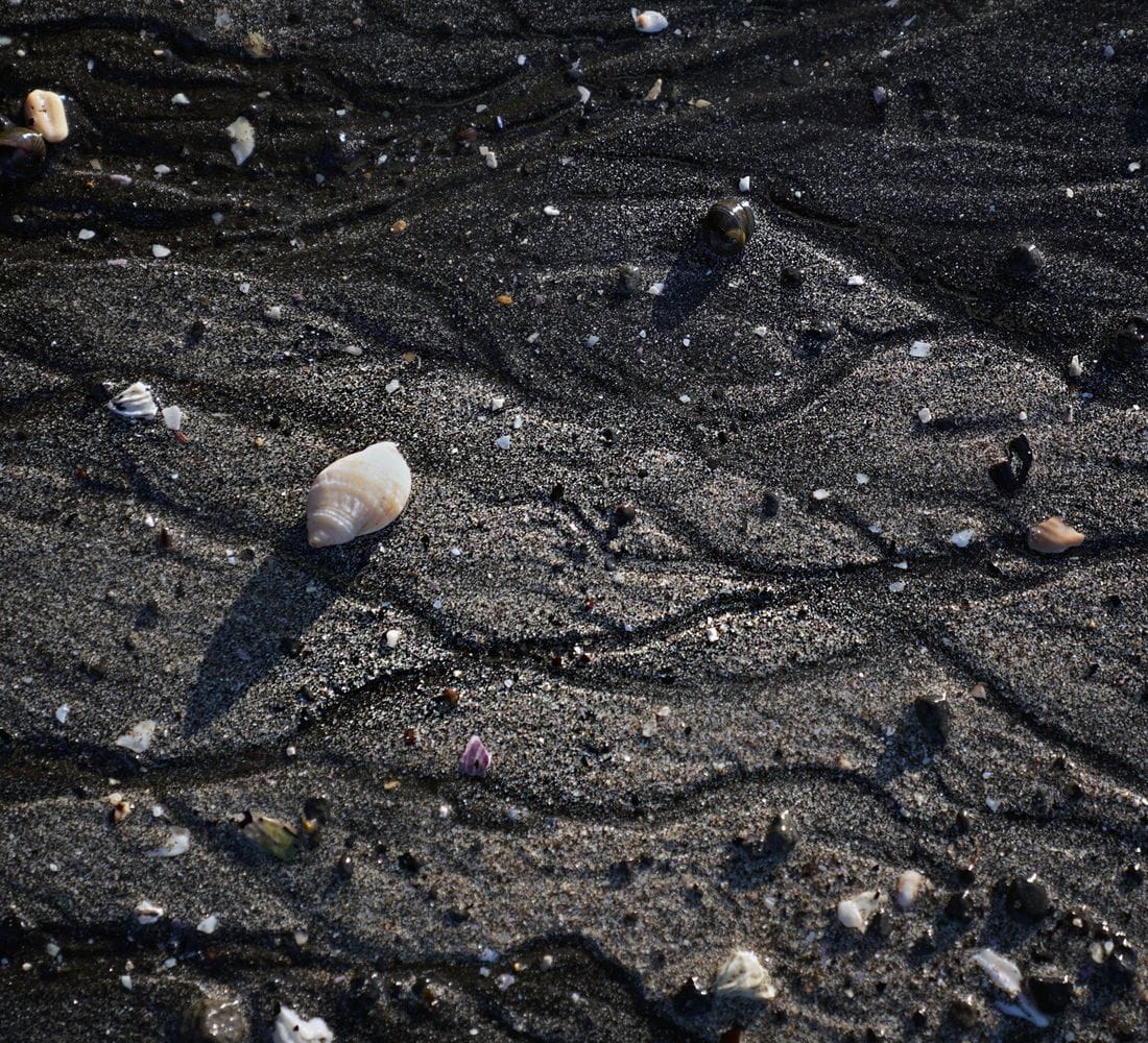Svartur sandur og skeljar 