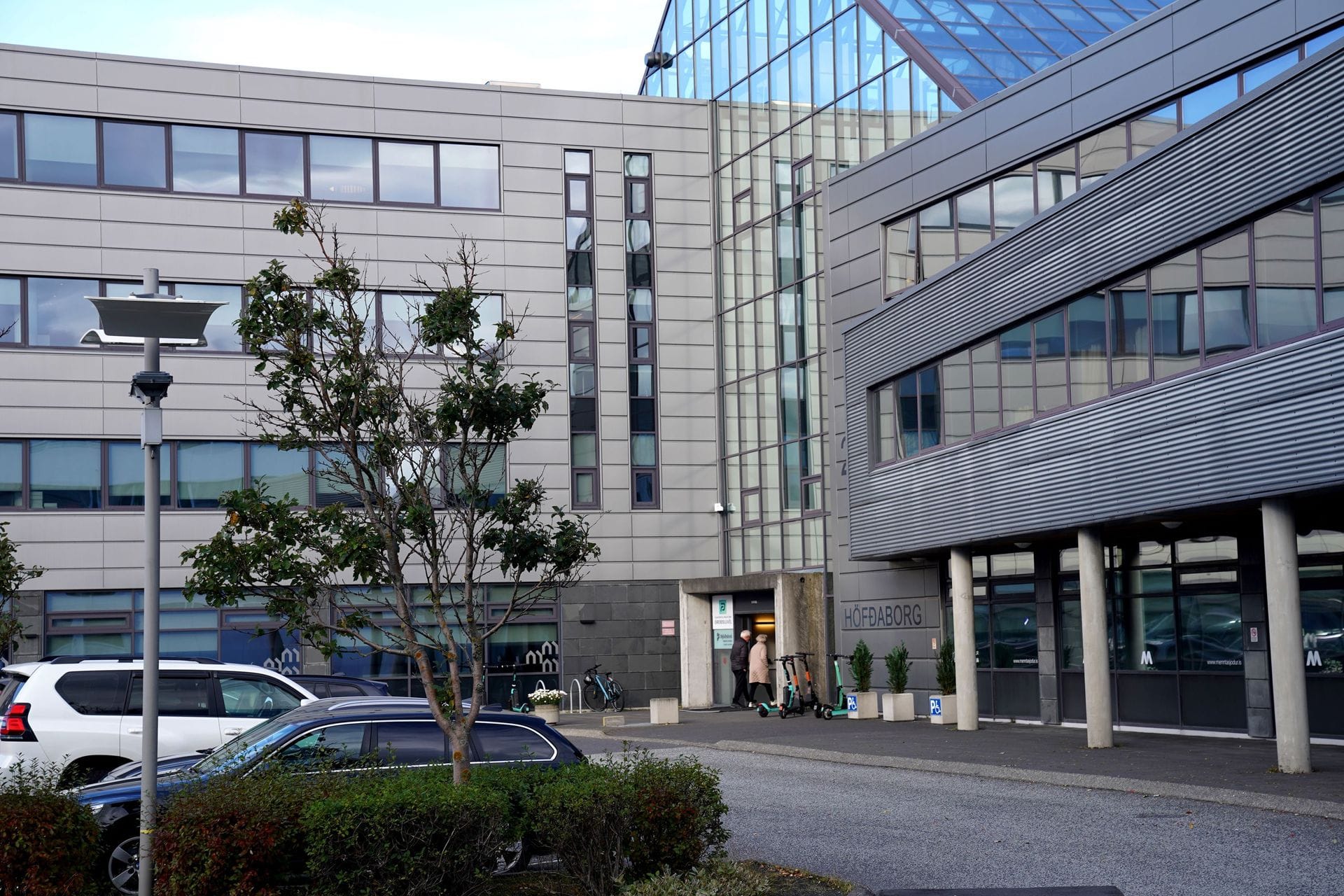 Karphúsið andyri og tré sumar