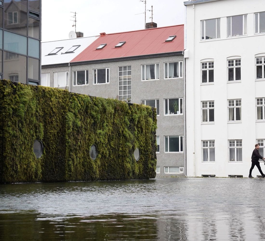 Ráðhús Reykjavíkur gróður tjörn