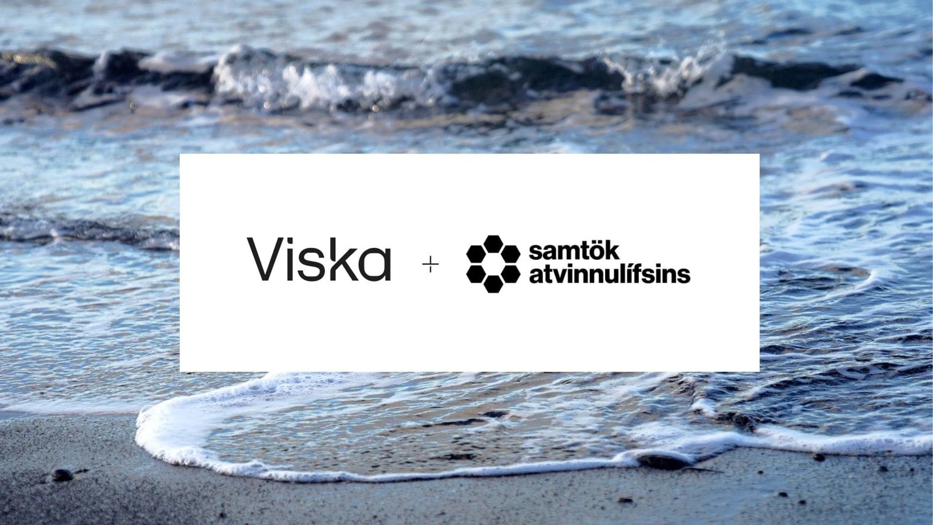 Samstarf: Viska og SA