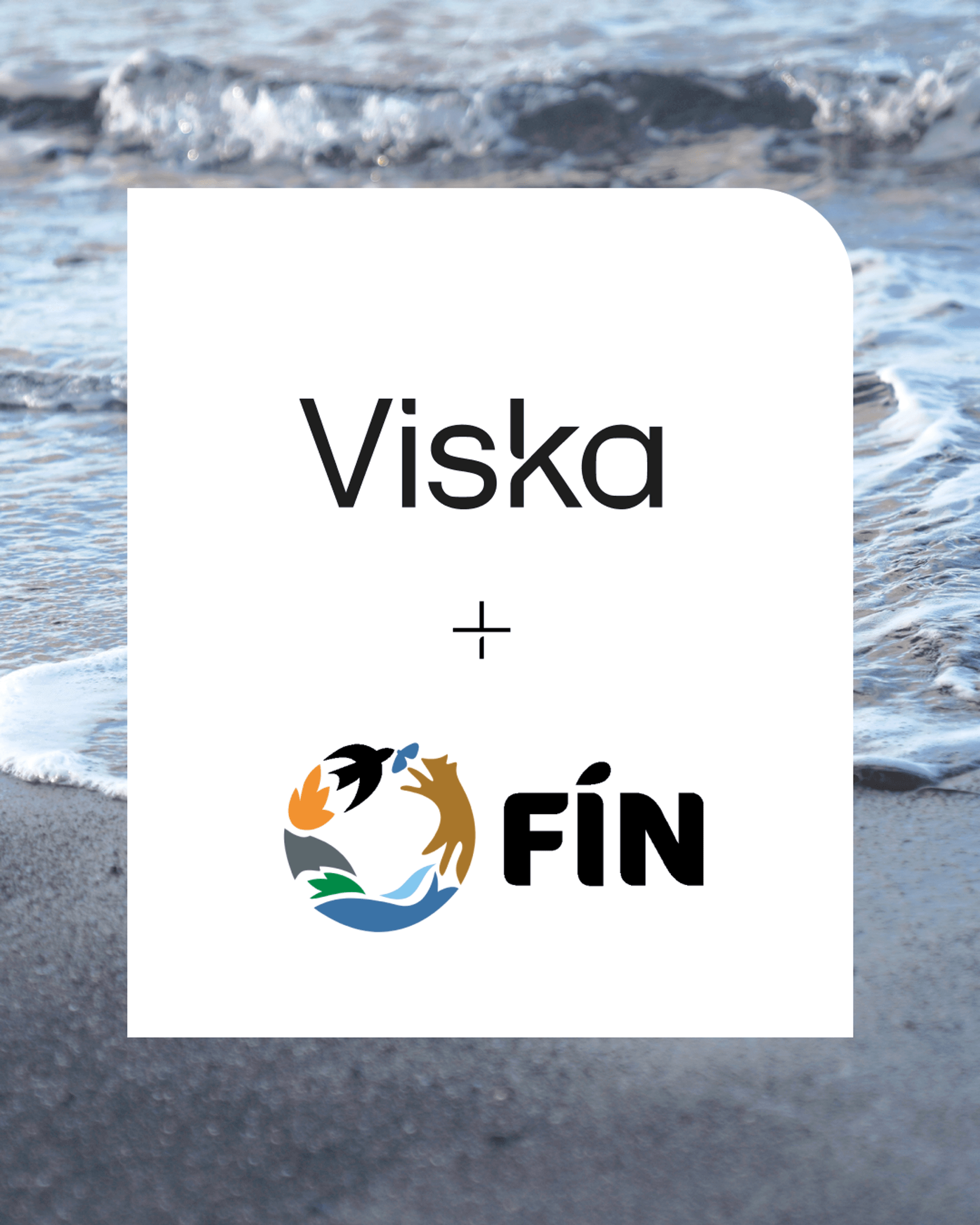 Viska og FÍN